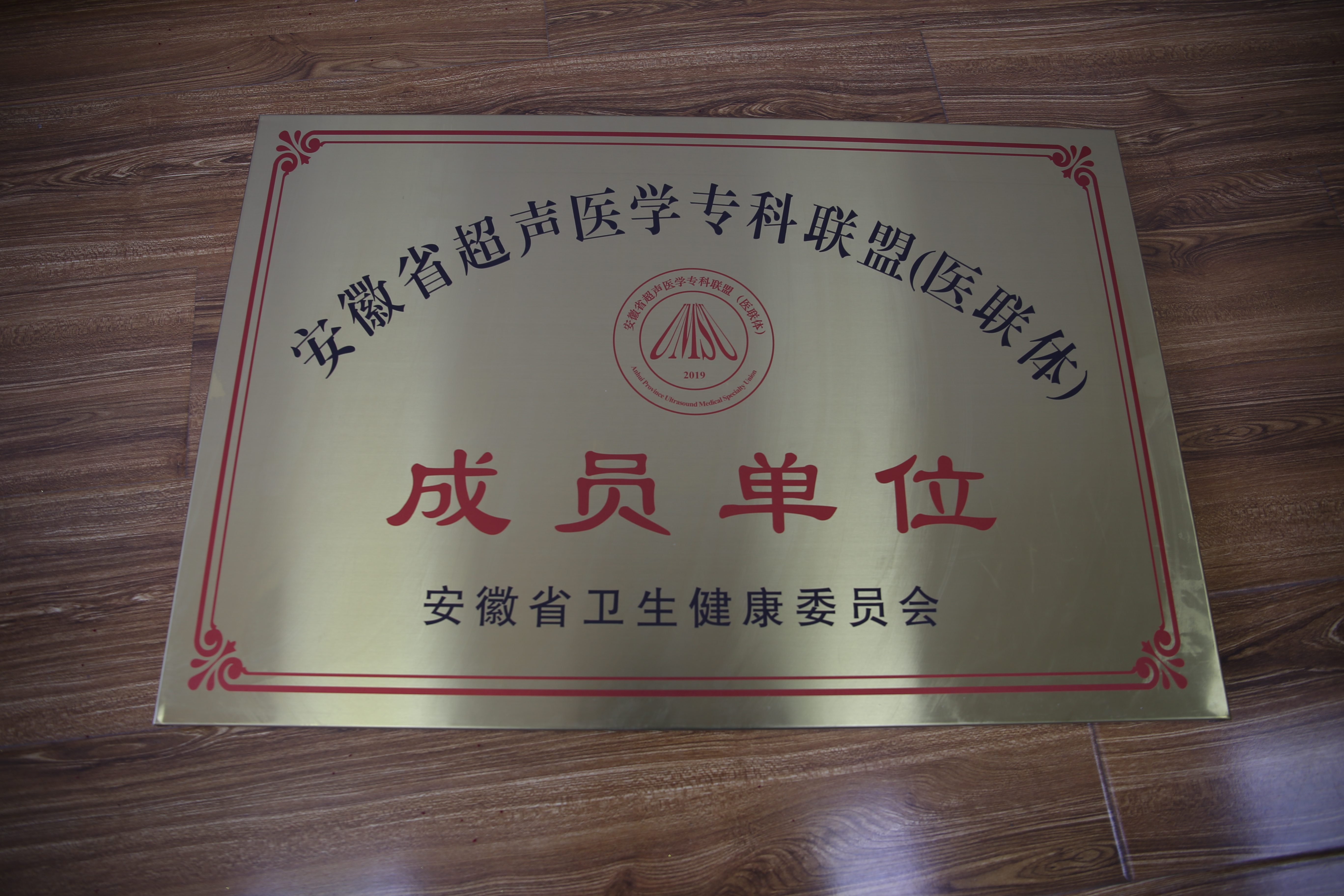 安徽省超聲醫(yī)學(xué)?？坡?lián)盟（醫(yī)聯(lián)體）成員單位